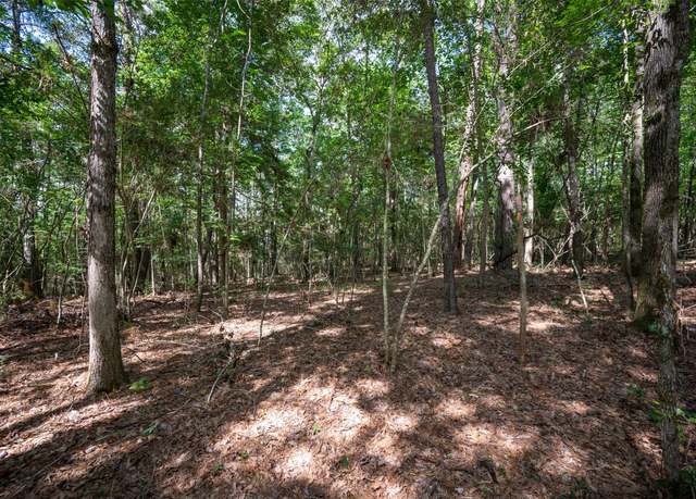 Property at tbd Us Highway 190 E, Woodville, TX 75979
