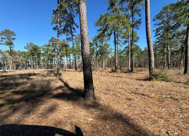 Property at TBD28 Private Road 6028, Brookeland, TX 75931