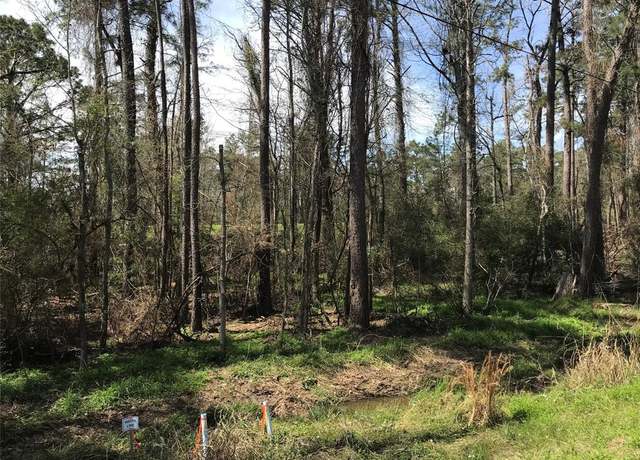 Property at 580 Parkview Dr, Onalaska, TX 77360