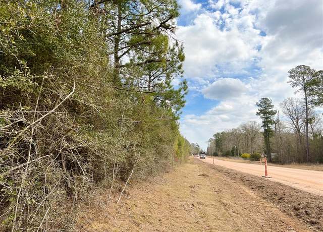 Property at 10 FM 1746, Town Bluff, TX 77660