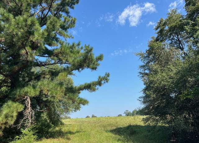Property at 17 ac Cr 145, Centerville, TX 75833