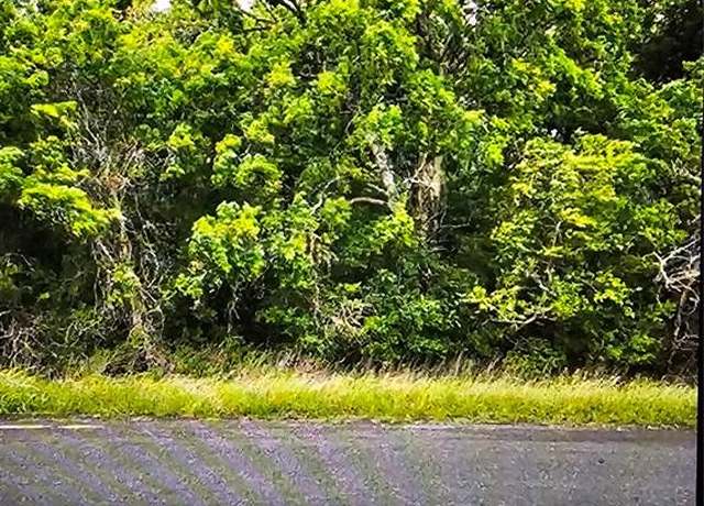 Property at 0 County Rd 125, Hungerford, TX 77448