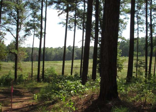 Property at 0008 FM 256 N, Woodville, TX 75979