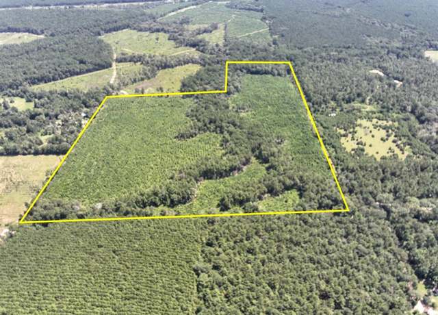 Property at 2 Tree Monkey Rd, Ace, TX 77351