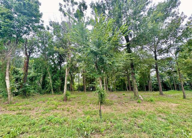 Property at 167&185 Mesa Verde, Livingston, TX 77351