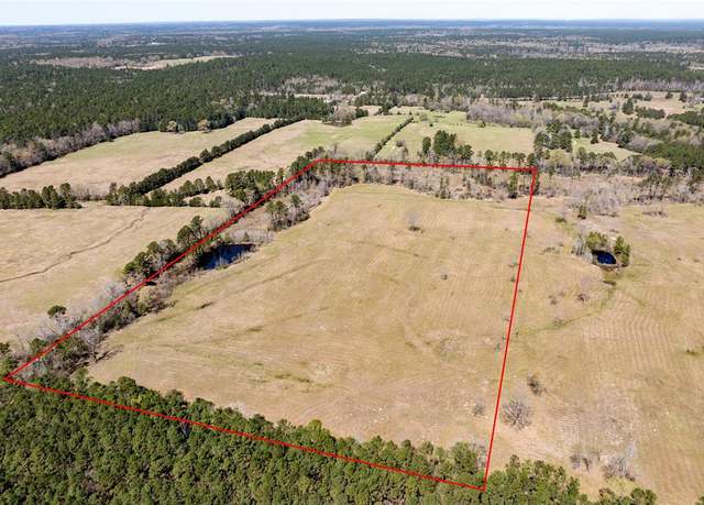 Property at 00 CR 4600, Kennard, TX 75847