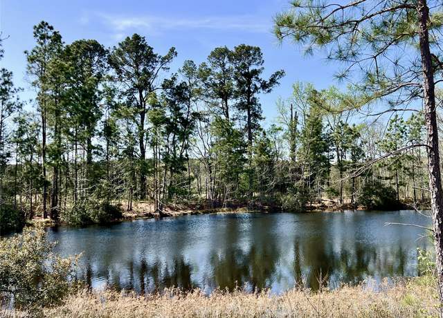 Property at 00 Cr 4600, Kennard, TX 75847