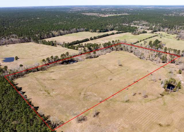 Property at 00 Cr 4600, Kennard, TX 75847