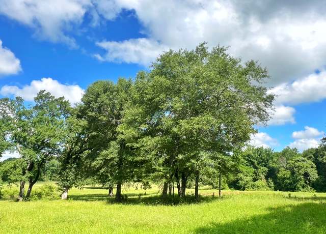 Property at 60 acres Cr 1080, Fairfield, TX 75840