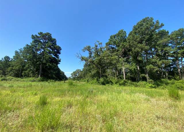 Property at Lot 8 County Road 114, Centerville, TX 75833