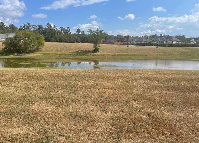 Property at 18803 Serene Water Dr, Montgomery, TX 77356