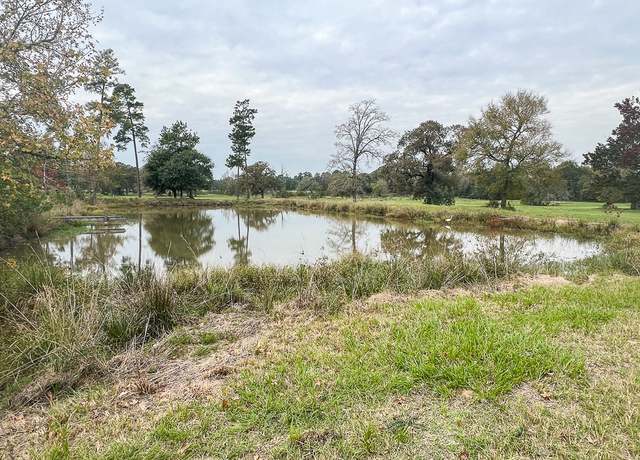 Property at 10730 (Tract 13) Superior Ln, Magnolia, TX 77354