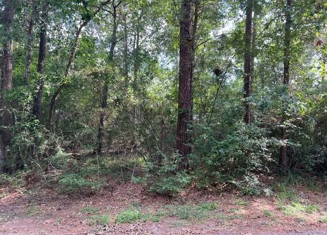 Property at 1006 Jefferson River Cir, Conroe, TX 77316