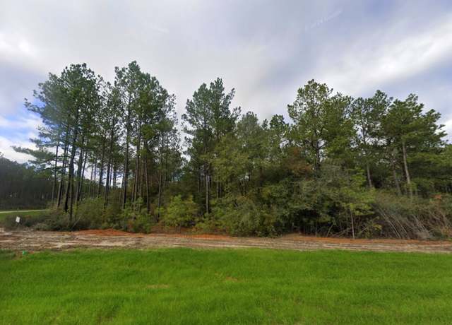 Property at 15808 Kindness Ct, Willis, TX 77378