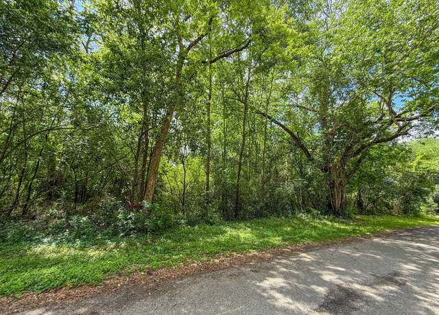 Property at TBD W Wheat St, Woodville, TX 75979
