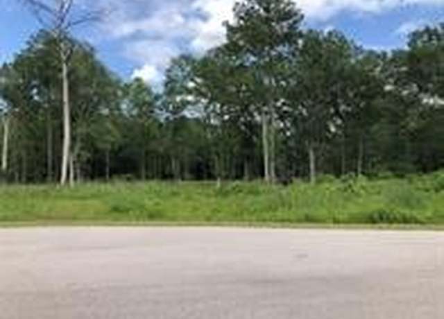 Property at 142 County Road 6324b, Dayton, TX 77535
