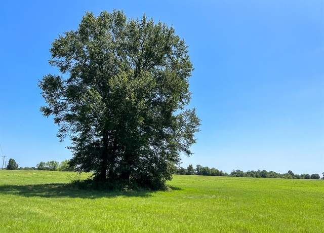 Property at 17 County Road 3630, Lovelady, TX 75851