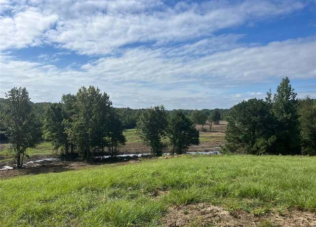 Property at TBD CR 136, San Augustine, TX 75972