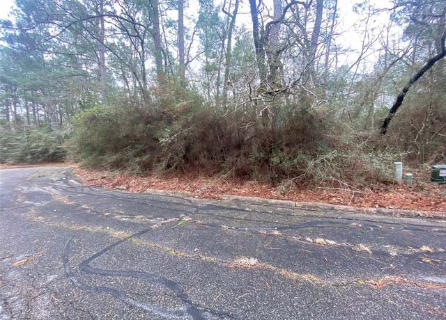 Property at 28605 Beechnut Ct, Huntsville, TX 77320