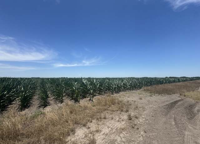 Property at TBD Cr 335 Rd, Louise, TX 77455