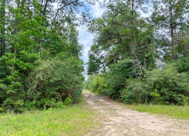 Property at 06 Fm 2937/old Arco Rd, Silsbee, TX 77656