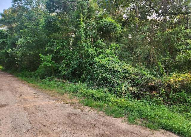 Property at Lot 19 Mossyknoll Dr, Plantersville, TX 77363