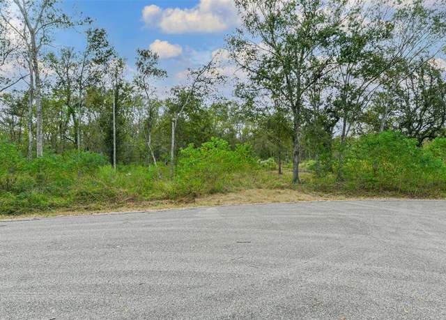 Property at 0 Live Oak St, Damon, TX 77430