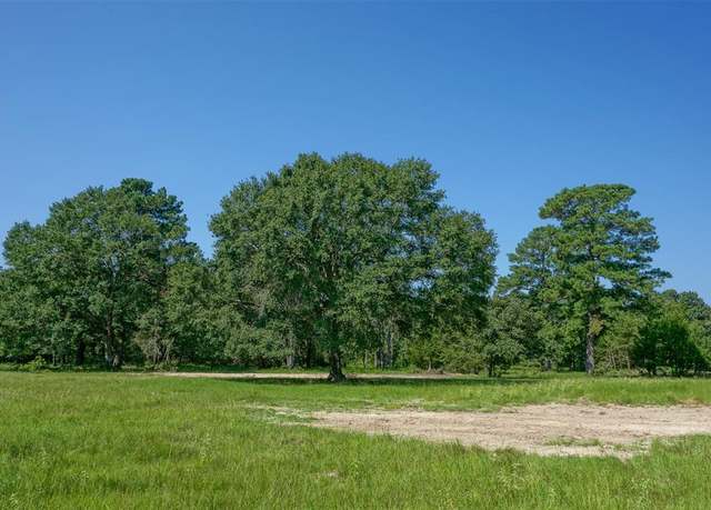Property at 31174 Courtney Rd, Navasota, TX 77868