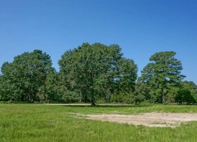 Property at 31174 Courtney Rd, Navasota, TX 77868