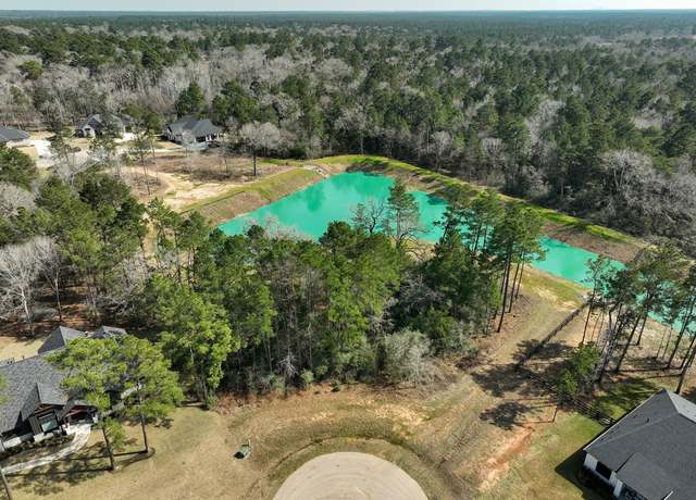 Property at 26601 Buchanan Ct, Magnolia, TX 77355