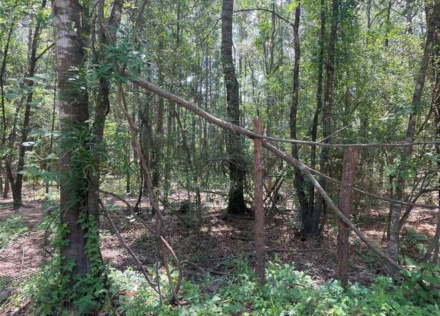 Property at 00 Mill Creek Dr N, Plantersville, TX 77363