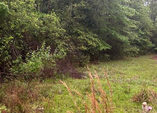 Property at 0 Camilla Dr, Brookeland, TX 75931