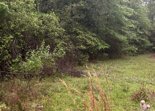 Property at 0 Camilla Dr, Brookeland, TX 75931