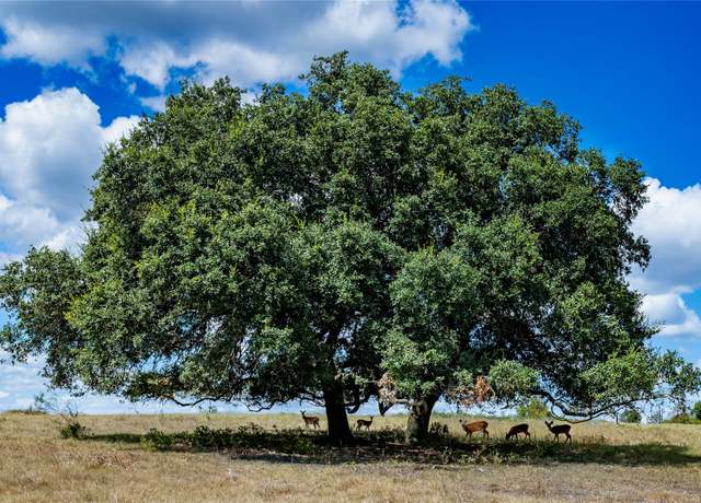 Property at 6230 Kovar Rd, Fayetteville, TX 78940