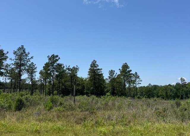 Property at TBD 30 Reveille Rd, Livingston, TX 77351