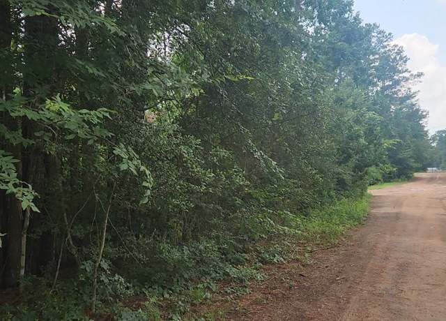 Property at Lot 8 Walnut Tree Ln, Plantersville, TX 77363