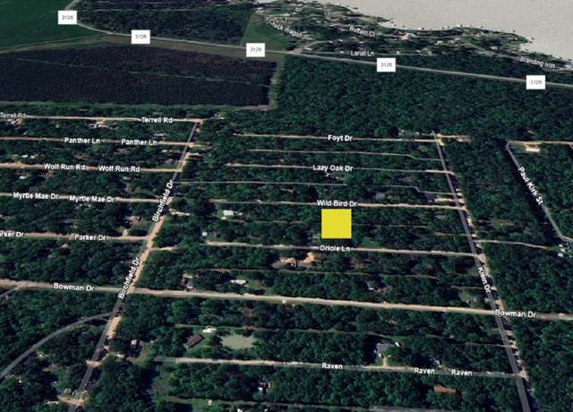 Property at TBD Wild Bird, Livingston, TX 77351