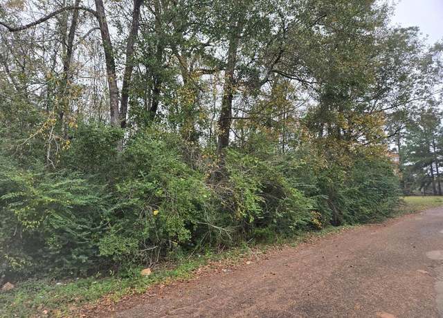 Property at 19515 Pine Haven Road Dr, Conroe, TX 77385