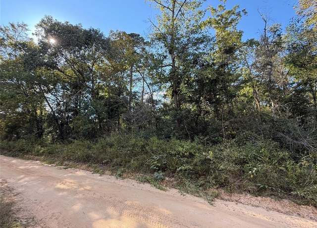 Property at TBD Lannie Blvd, Livingston, TX 77351