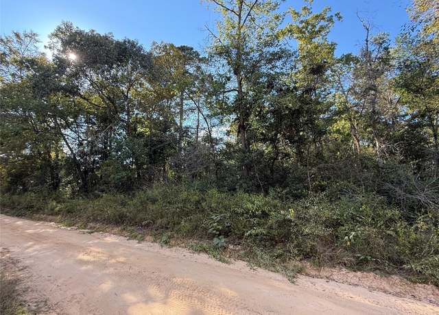 Property at TBD Lannie Blvd, Livingston, TX 77351