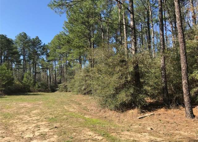 Property at 802 CR 483 Rd S, Broaddus, TX 75929