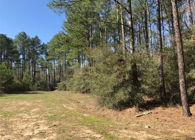 Property at 802 Cr 483 Rd S, Broaddus, TX 75929