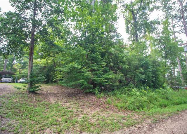 Property at TBD Magnolia Rd, Goodrich, TX 77335