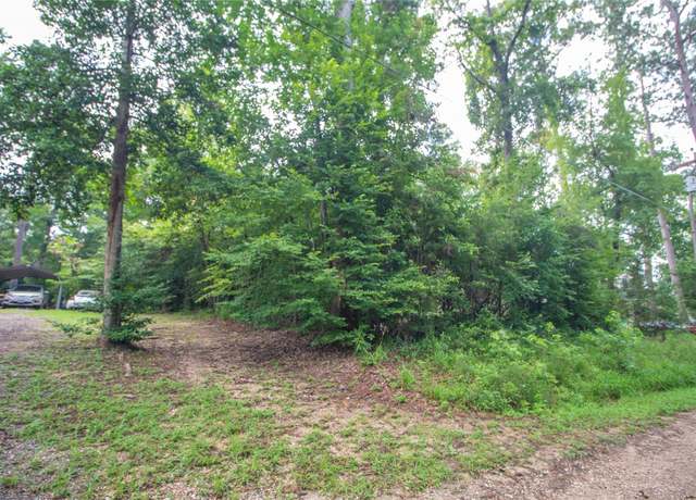 Property at TBD Magnolia Rd, Goodrich, TX 77335