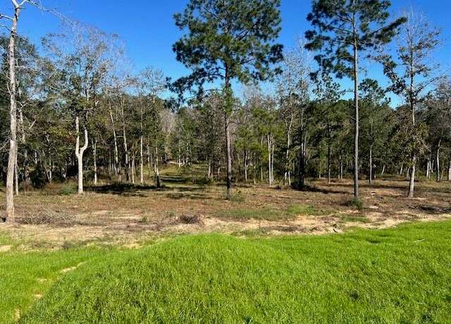 Property at TDB LOT 29 Addison Rd, Livingston, TX 77351