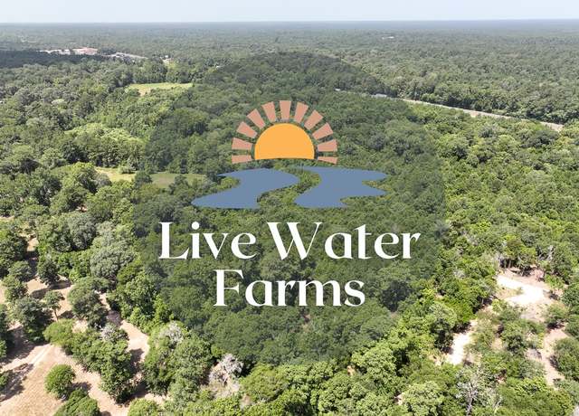 Property at S2L1 Lake Pool Rd, Shepherd, TX 77371