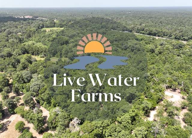 Property at S2L1 Lake Pool Rd, Shepherd, TX 77371
