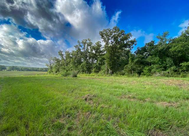 Property at TR7 County Road 426, Marquez, TX 77865