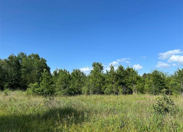 Property at Tract 35 Fm 230, Lovelady, TX 77854