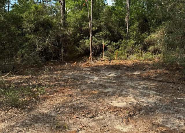 Property at 565 Sparkleberry Dr, Brookeland, TX 75931